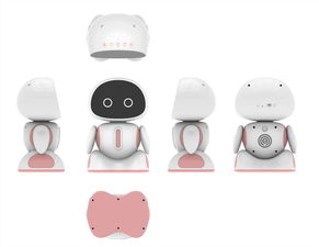 智能小型機(jī)器人銷售與服務(wù)咨詢，錢元供應(yīng)，計(jì)算機(jī)網(wǎng)絡(luò)工程施工與設(shè)計(jì)